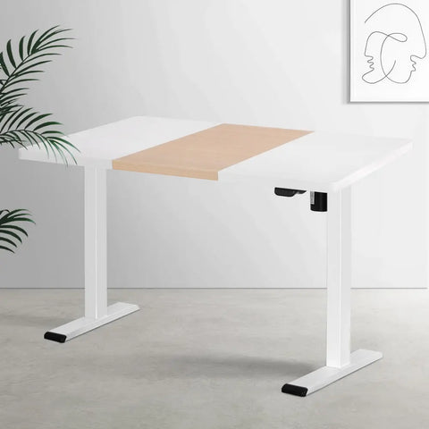 Artiss Standing Desk Motorised Sit Stand Desks 120CM Chez Guru