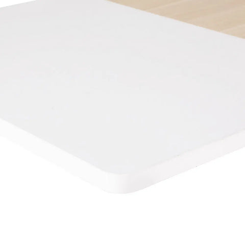 Artiss Standing Desk Motorised Dual Motor 120CM Chez Guru