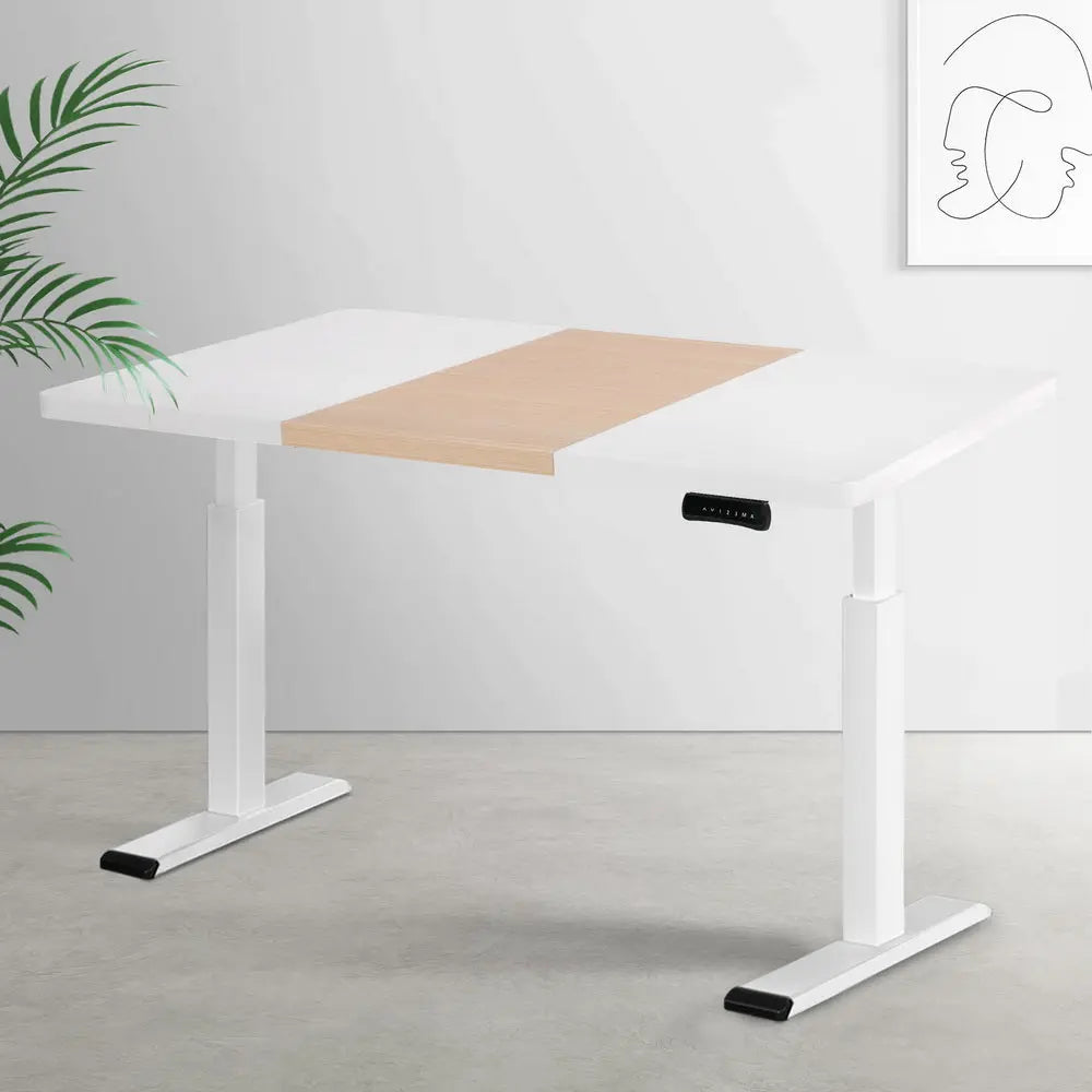 Artiss Standing Desk Motorised Dual Motor 120CM Chez Guru