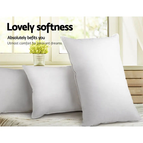 Giselle Bedding Duck Feather Down Pillow Twin Pack Chez Guru