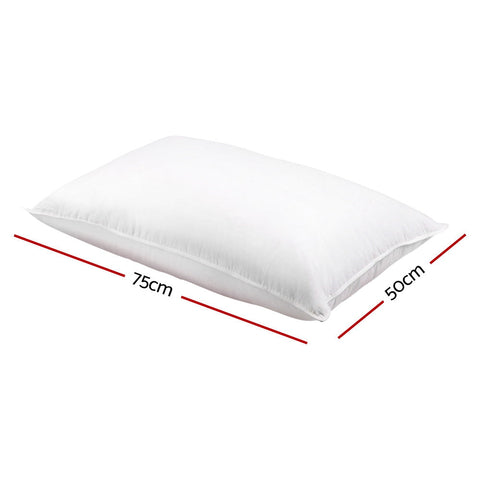 Giselle Bedding Goose Feather Down Pillow Twin Pack Chez Guru