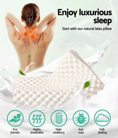 Giselle Bedding Natural Latex Pillow Twin Pack Chez Guru