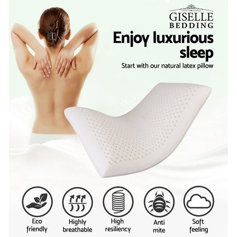 Giselle Bedding Natural Latex Pillow Classic Twin Pack Chez Guru