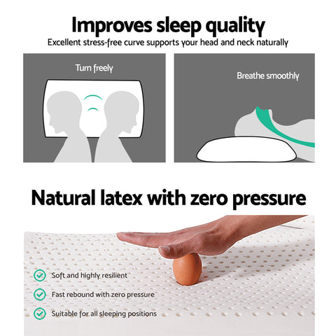 Giselle Bedding Natural Latex Pillow Classic Twin Pack Chez Guru