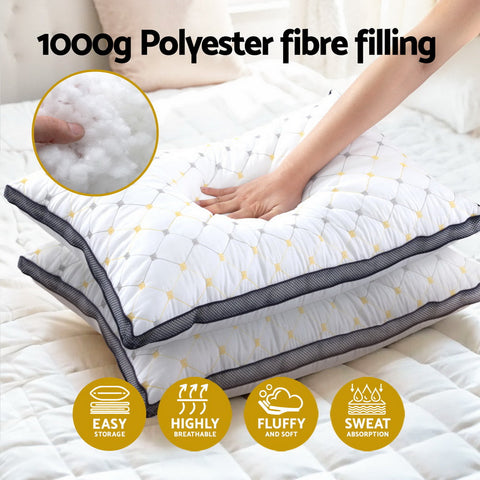 Giselle 2pcs Pillows Microfibre Chez Guru