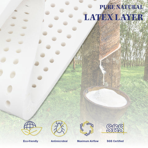 Grandeur King Mattress Latex Foam 7 Zone Pocket Spring Chez Guru
