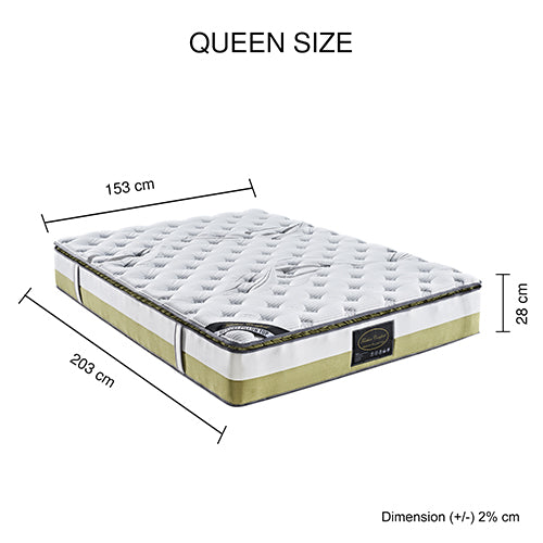 Queen Mattress Memory Pillow Top Pocket Spring Foam Medium Firm Bed Chez Guru