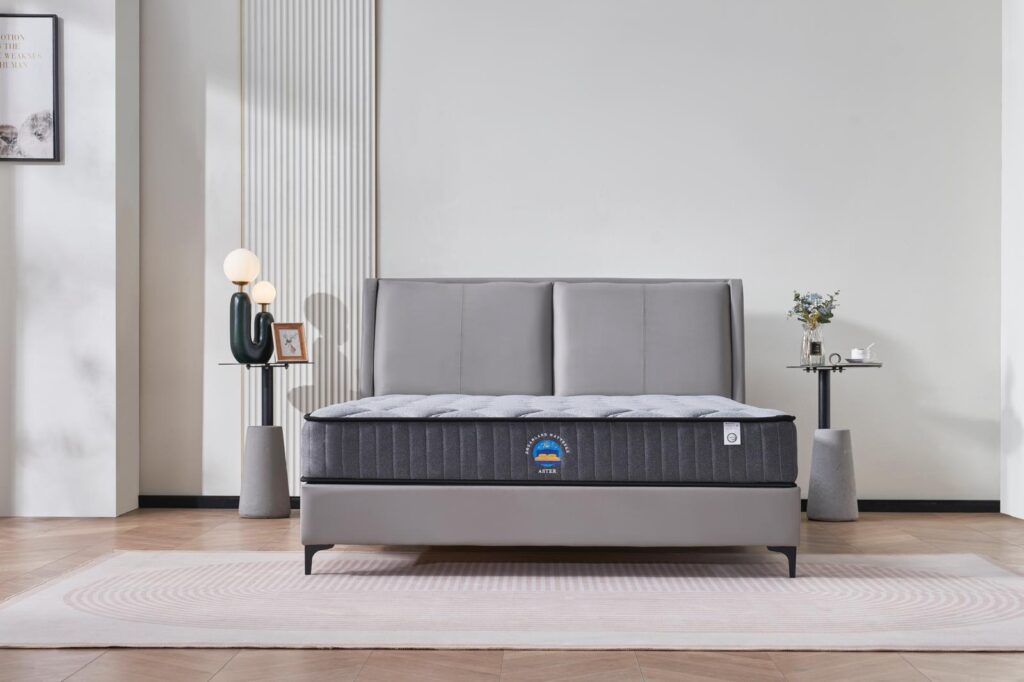 Aster hybrid 22cms thickness euro top matttress-single Chez Guru